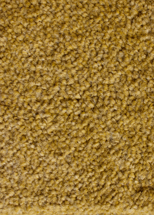 Samur F 003