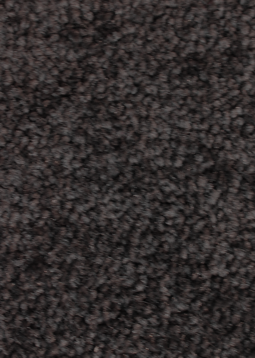 Samur F 016